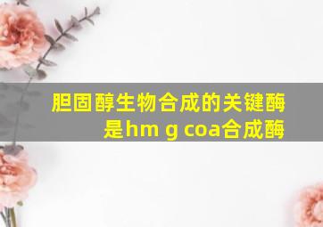 胆固醇生物合成的关键酶是hm g coa合成酶